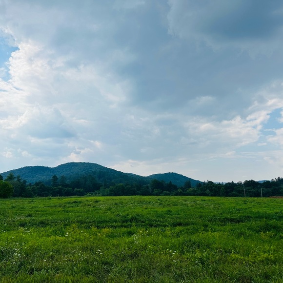 Meet the Seller - Hi, I'm Kym! - Picture 14 of 14